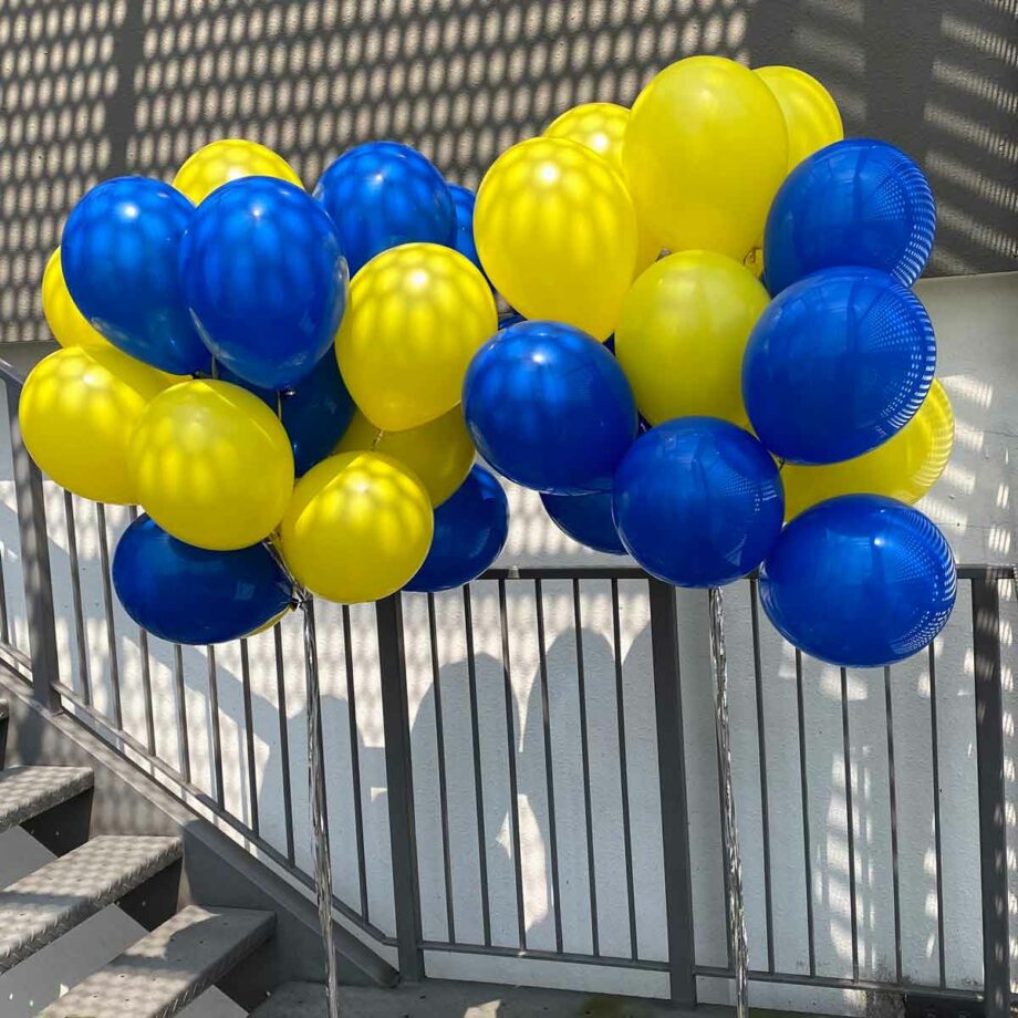 [Individual Helium Inflated Balloons] - Fashion/ Matte 12 inch latex balloons