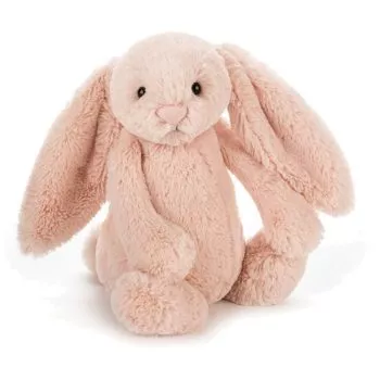 Customise Embroidery Name Jellycat Cream Bunny