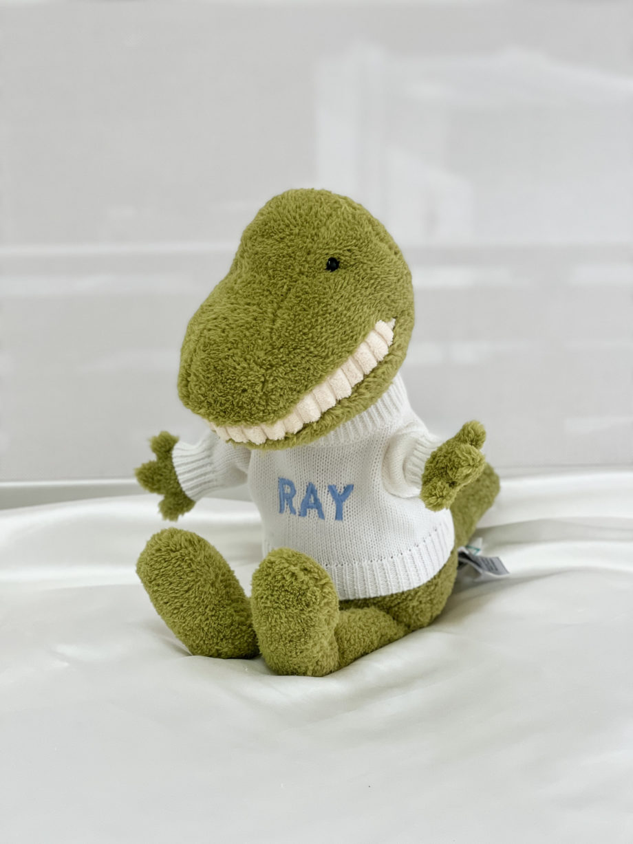 Jellycat Toothy T Rex 36cm Soft Toy