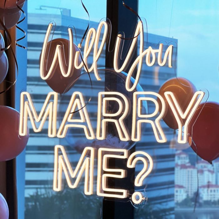 Will You Marry Me LED Neon Signs
