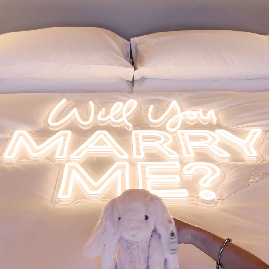 Will You Marry Me LED Neon Signs