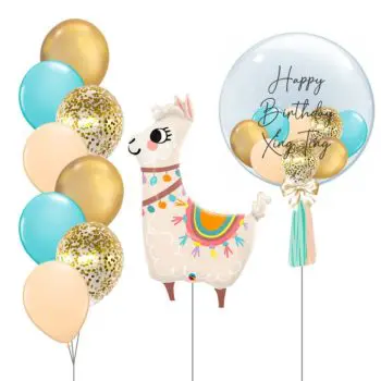 Newborn-Themed Baby Balloon Set - 24inch Customized Bubble Balloon Filled With Mini-balloons, Llama, Confetti Balloon Bouquet