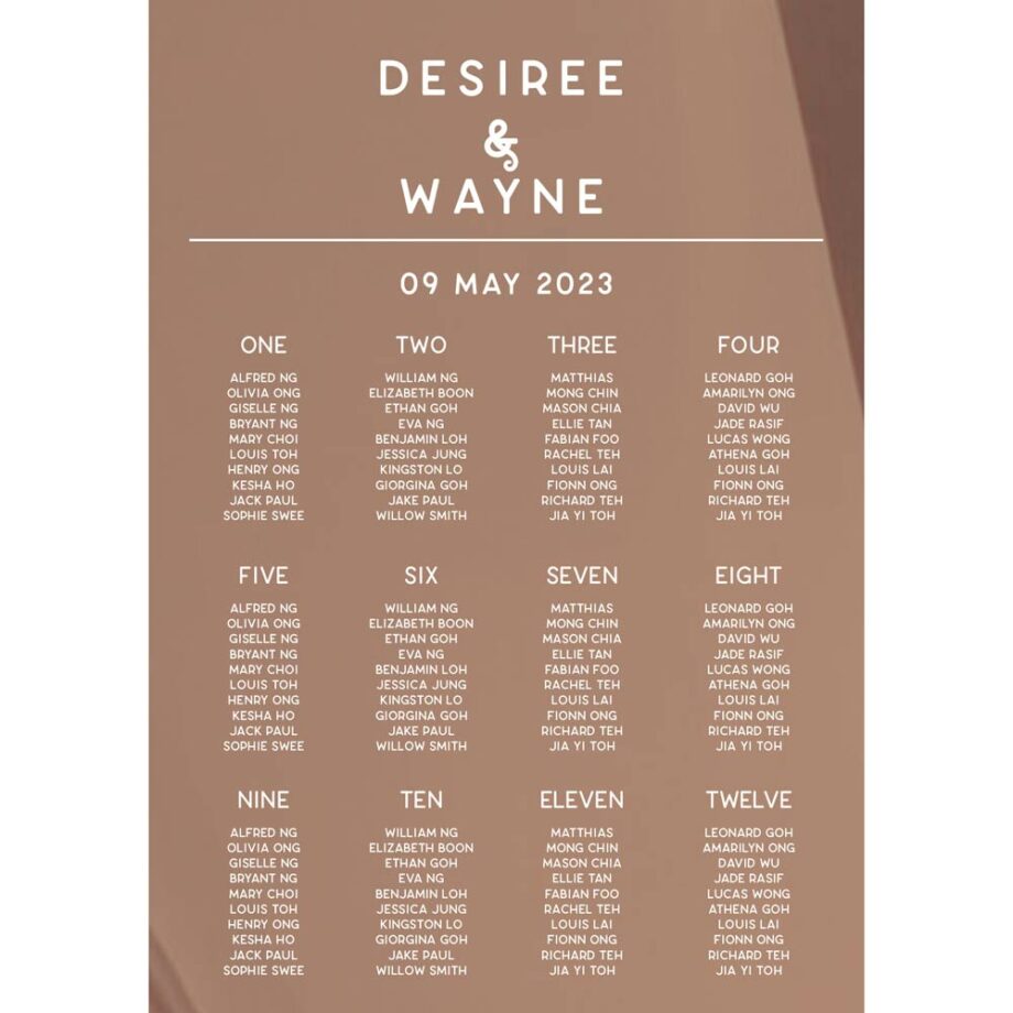 mirror rose gold wedding seating chart - simple classic design