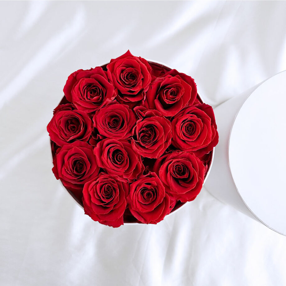 Preserved Roses Surprise Bloom Box - Red