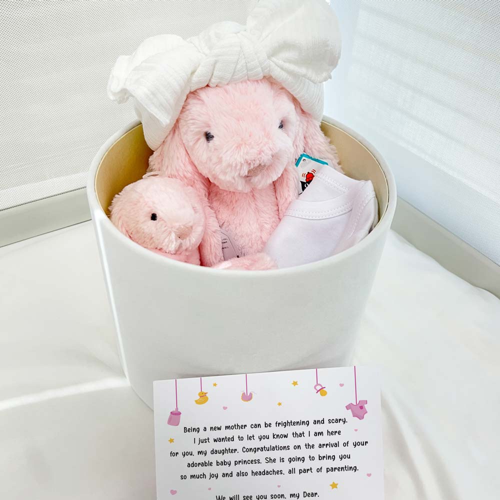 newborn giftbox -pretty cute bundle for girl3