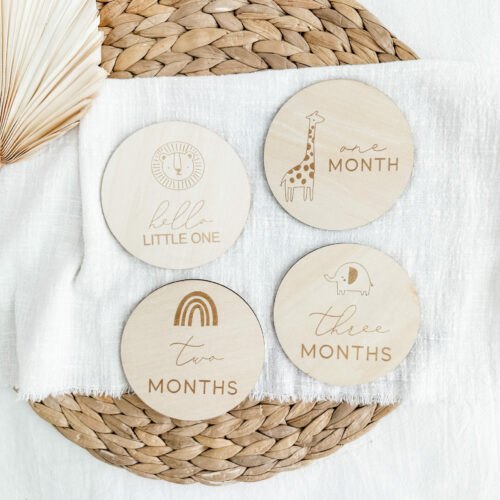 Baby Monthly Milestone Plaques Set (13pcs) - Little Animals and Icons Design